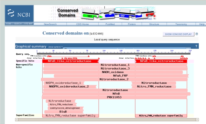 BLAST Conserved Domains