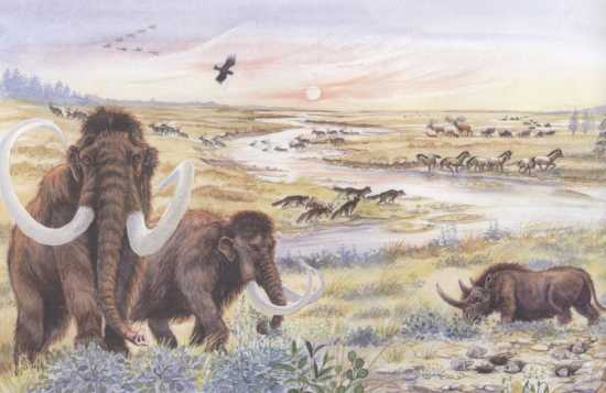 Ice Age Mammals
