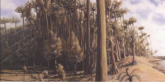 Scene from 300 million years before the present