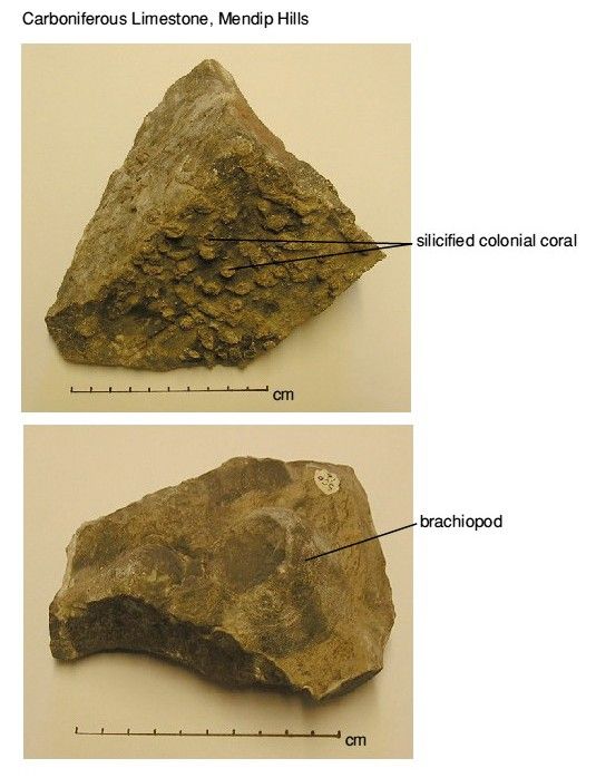 Carboniferous Limestone