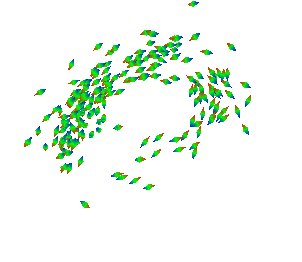 Torus
