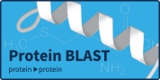 Protein BLAST