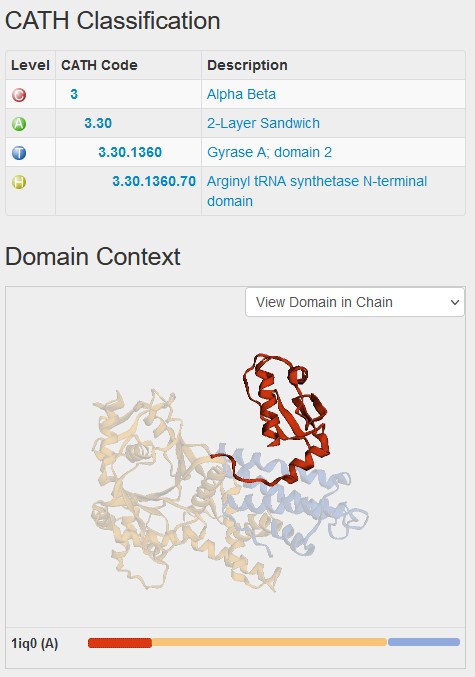 ArgRS CATH domains