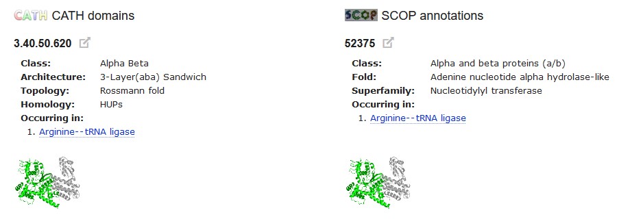 SCOP shows the functions of some CATH domains