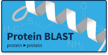 Protein BLAST