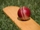 cricket ball icon