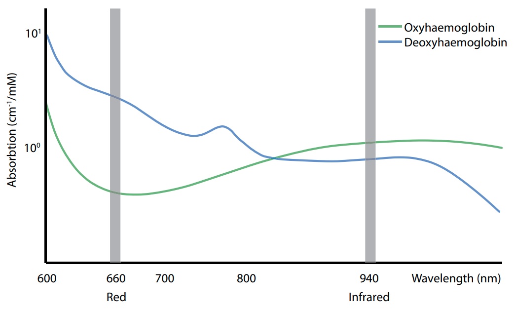 The absorption spectra for oxyhaemoglobin and deoxyhaemoglobin over the range 600 nm to 1000nm. Note that the y axis is logarithmic. Figure reproduced from Metcalfe et al.<span class='ref'><span class='refnum'></span><span class='refbody'>A Cost-Effective Pulse Oximeter Designed in Response to the COVID-19 Pandemic - Benjamin Metcalfe, Pejman Iravani, Jonathan Graham-Harper-Cater, Richard Bowman, Julian Stirling, Peter Wilson - <a href='https://openhardware.metajnl.com/articles/10.5334/joh.26'>DOI: 10.5334/joh.26</a></span></span>