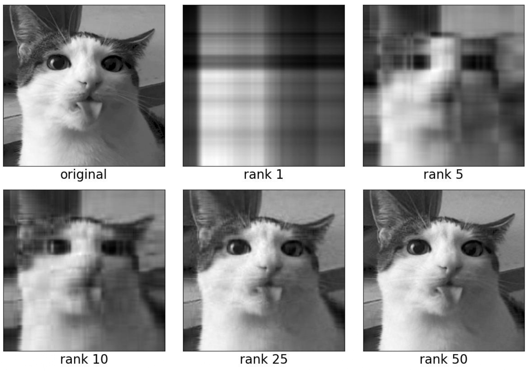 Image compression by low-rank approximation via the truncated SVD.