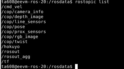 Expected and Correct ROS Topic List.