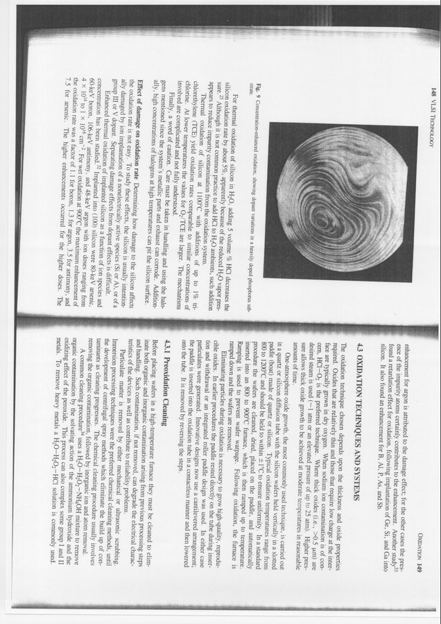 Scan0019.jpg