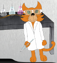 The Cat Chemist