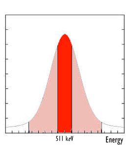 wpe3.jpg (7246 bytes)